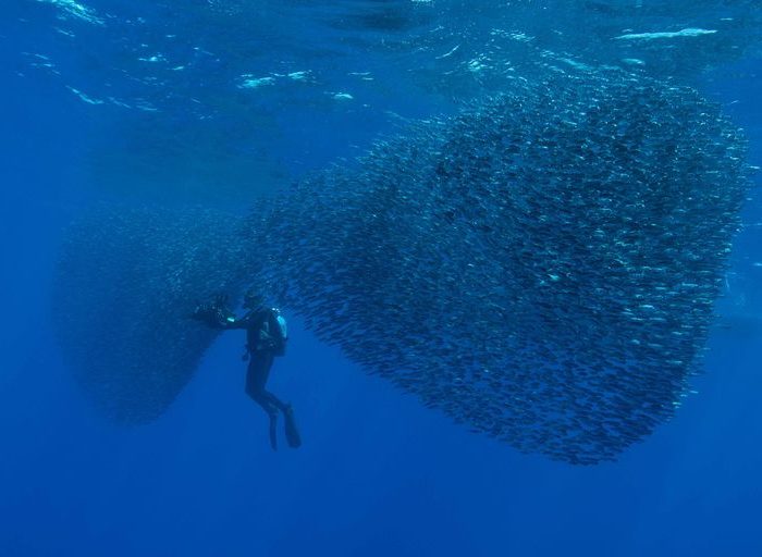 Banque d'images film sous-marins