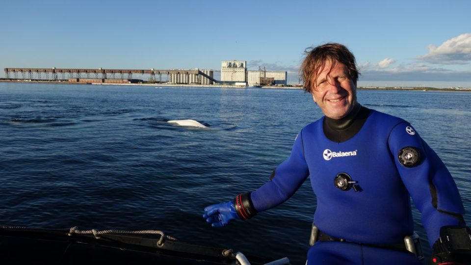 AUDIO – René Heuzey, un témoignage de visu de l’état du monde sous-marin