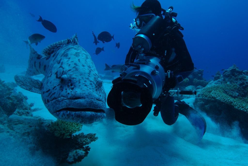 LaBel Bleu Production - Réalisation vidéo sous-marine - Voyages d'aventures