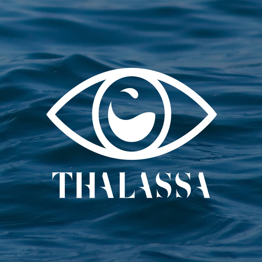 Réalisateur cadreur sous matin emission Thalassa