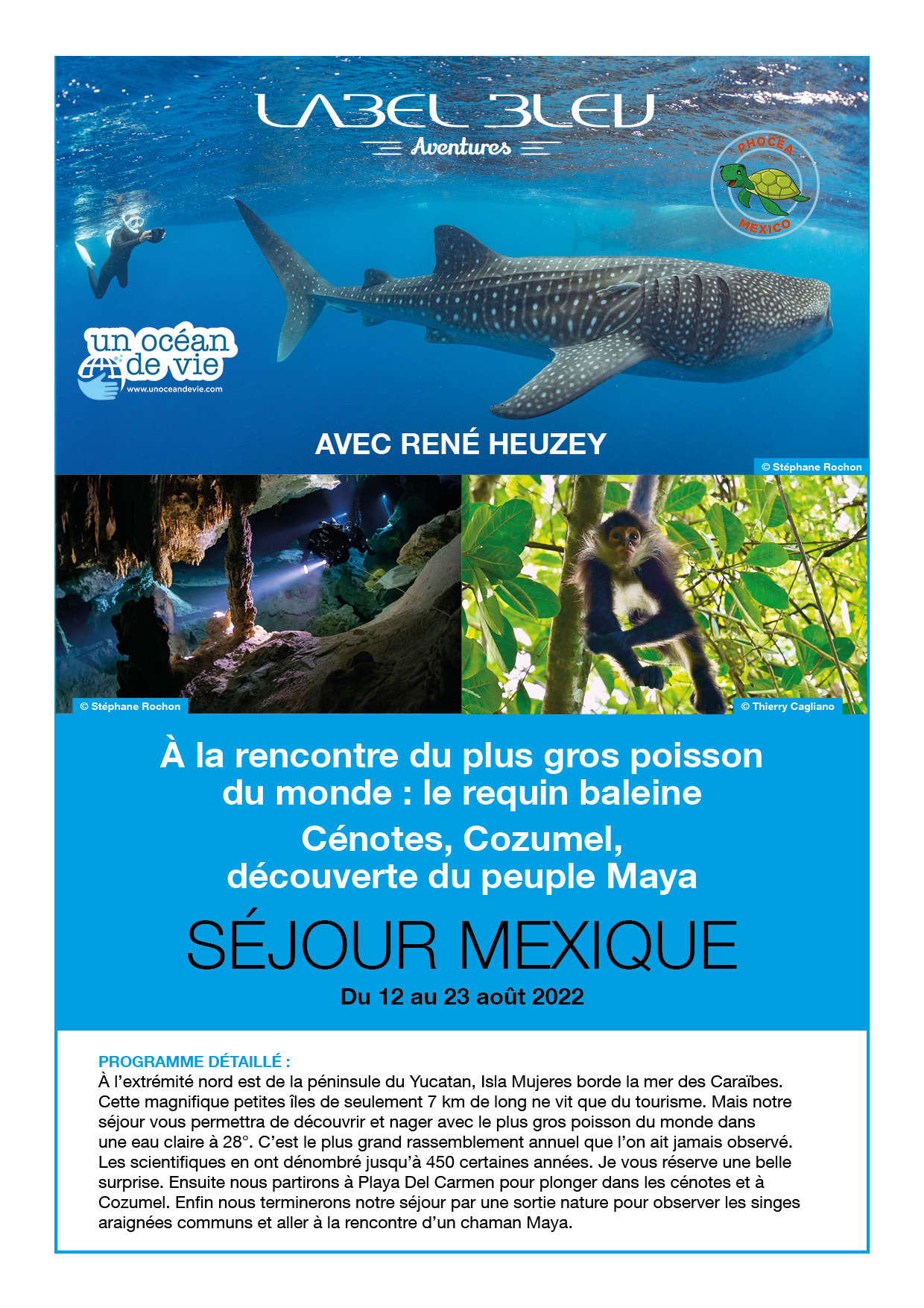 Séjour plongée Mexique REquins Baleine avec René Heuzey