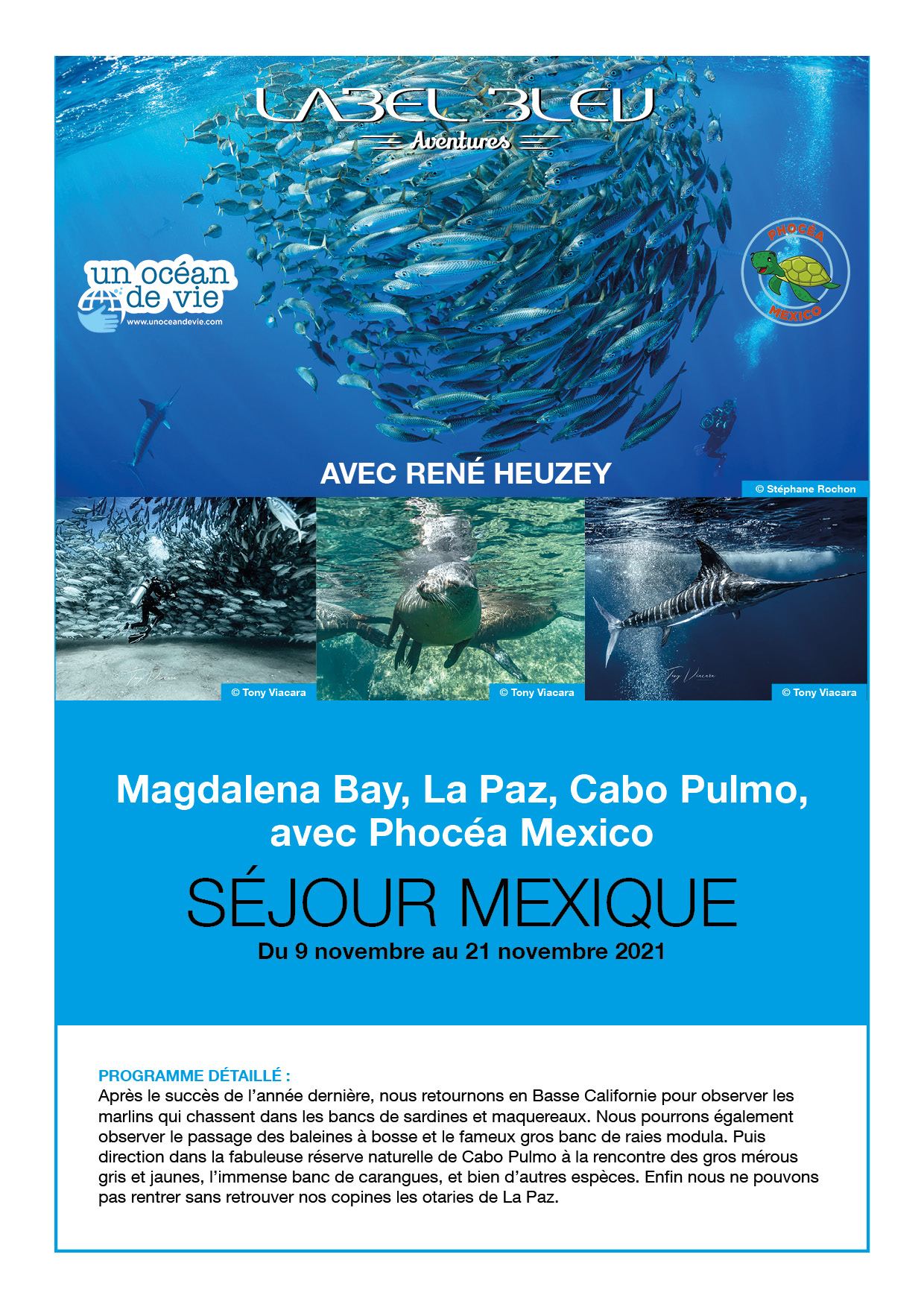 Séjour plongée Mexique avec René Heuzey