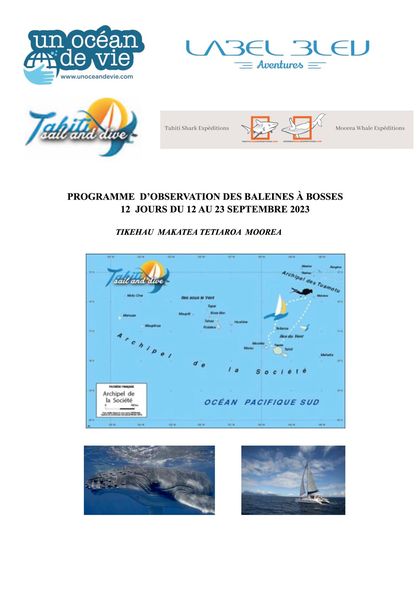 Voyage plongée baleines à bosse Polynésie