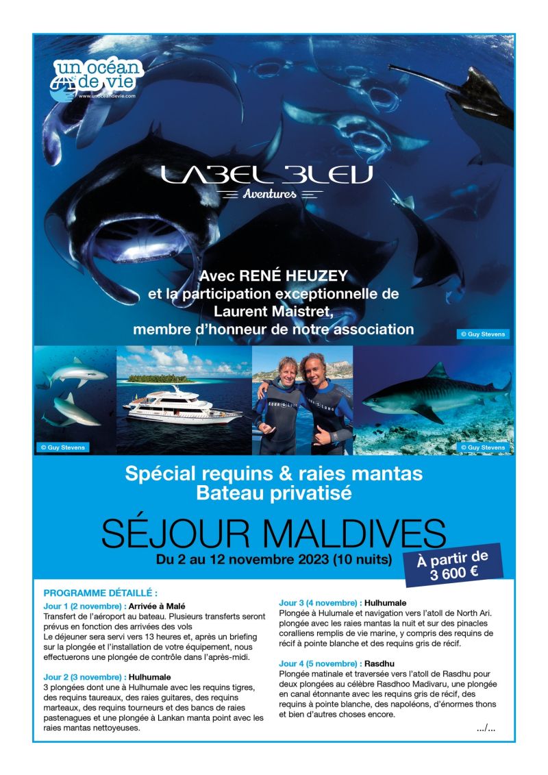 séjour plongée Maldives avec René Heuzey 2