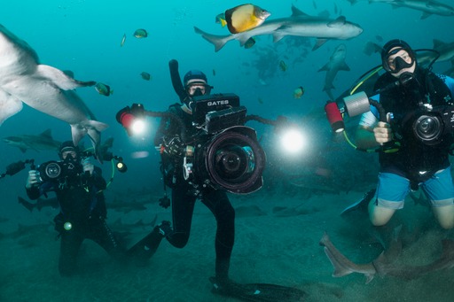 Stage de formation à la prise de vue sous marine - Réalisateur sous-marin